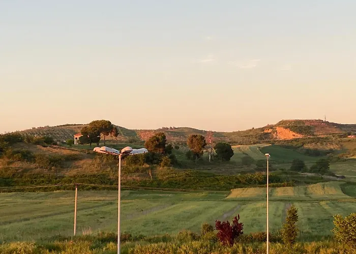 Lena'S Guesthouse Qerret 照片